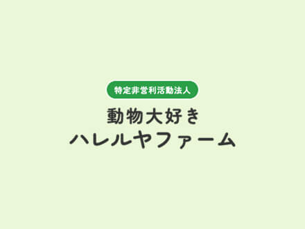 羊の毛刈り始まります。